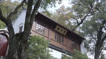 旅拍风景,配音,树木,植物,全景