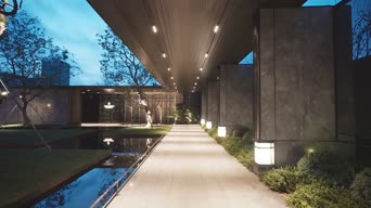 旅拍风景,夜景,植物,树木,全景