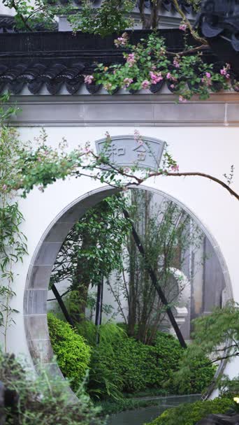 美景,农村,民宿,花,植物,树木,全景