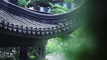 养鱼,树木