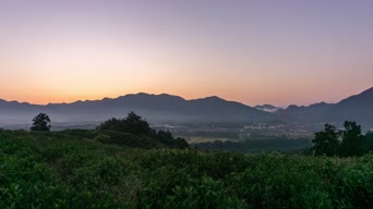 旅拍风景,美景,大自然,树木,植物,全景
