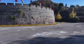 旅拍风景,配音,知识,树木,植物,全景
