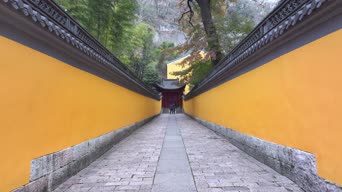 旅拍风景,配音,知识,树木,植物,全景