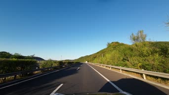 配音,美景,记录,树木,全景