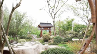旅拍风景,配音,树木,植物,全景