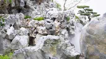 旅拍风景,美景,植物,树木,全景