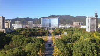 旅拍风景,美景,城市,高楼,树木,公寓,植物,全景