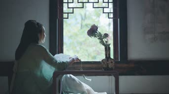 配音,知识,衣服,全景
