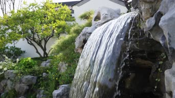 配音,植物,树木,瀑布,全景