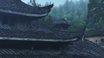 旅拍风景,美景,大自然,树木,植物,全景