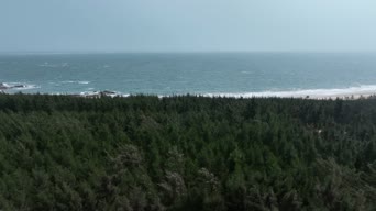 旅拍风景,大自然,美景,树木,植物,全景