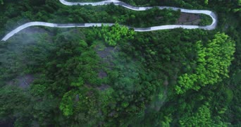 旅拍风景,美景,大自然,树木,植物,全景