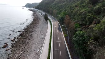 旅拍风景,美景,大自然,树木,全景