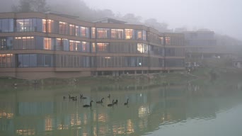 配音,知识,全景