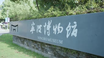 旅拍风景,配音,树木,植物,全景