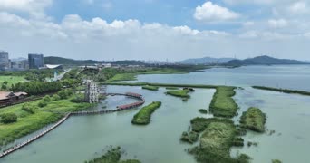 旅拍风景,旅拍,美景,大自然,树木,全景