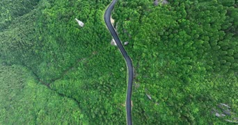 旅拍风景,配音,知识,植物,树木,全景,Ronsdorfer Talsperre