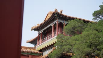 旅拍风景,配音,树木,植物,全景