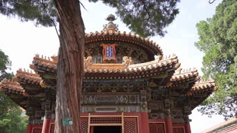旅拍风景,配音,树木,全景,御花园