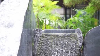 生活日常,带货,美景,农村,植物,植物,树木,全景