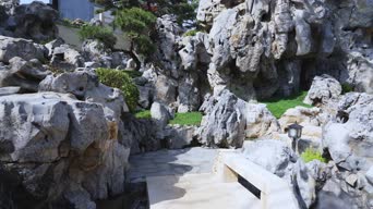 旅拍风景,配音,树木,植物,全景