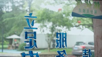 儿童,树木,植物,全景