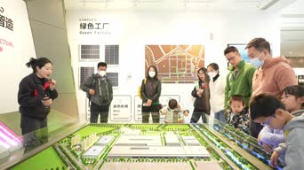 数字科技,衣服,绿色,全景