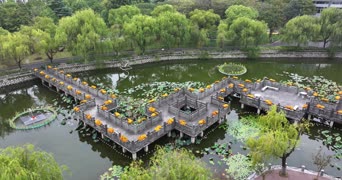 旅拍风景,美景,大自然,树木,植物,全景