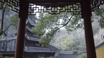 旅拍风景,配音,树木,植物,全景