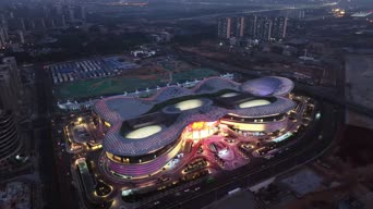 旅拍风景,手机壁纸,美景,夜景,全景,迪拜市中心阿德里斯酒店