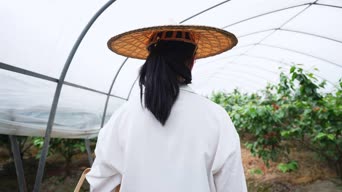 乡村生活,记录,女神,衣服,伞,全景