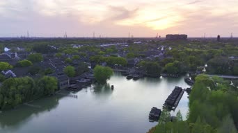 旅拍风景,配音,知识,树木,植物,全景