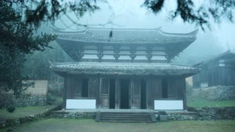 旅拍风景,配音,树木,植物,全景