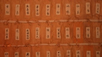 配音,养生健康,知识,薄荷,紫荆,全景