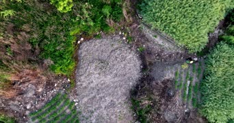 旅拍风景,大自然,美景,树木,植物,全景