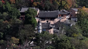 旅拍风景,配音,知识,树木,植物,村落,宇天,全景