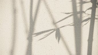 画画,配音,全景