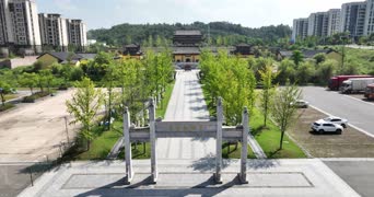 旅拍风景,配音,知识,树木,植物,全景
