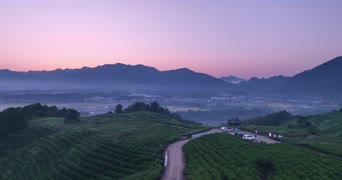 旅拍风景,美景,大自然,旅拍,树木,伞