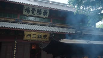 农村,旅拍,树木,手印,全景