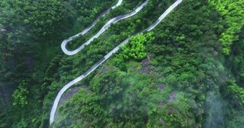 旅拍风景,美景,大自然,旅拍,树木,植物,全景