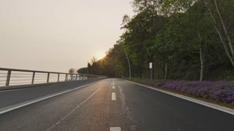 旅拍风景,配音,树木,植物,全景