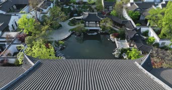 旅拍风景,美景,大自然,植物,树木,全景