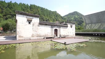 旅拍风景,配音,树木,植物,全景