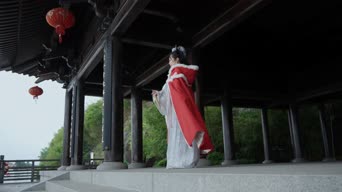 女装,衣服,植物,跳舞,全景