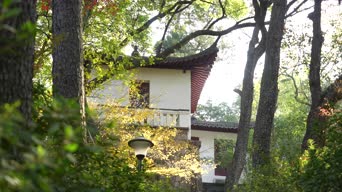 旅拍风景,美景,树木,植物,全景,岳麓书院