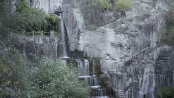 旅拍风景,配音,知识,树木,植物,瀑布,全景