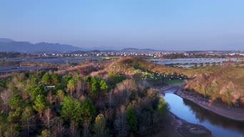 旅拍风景,美景,大自然,树木,植物,全景