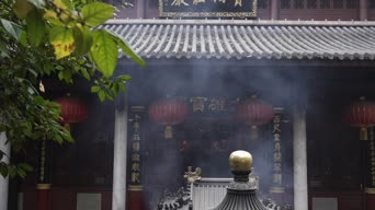 夜景,树木,植物