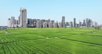 旅拍风景,美景,足球,高楼,植物,全景